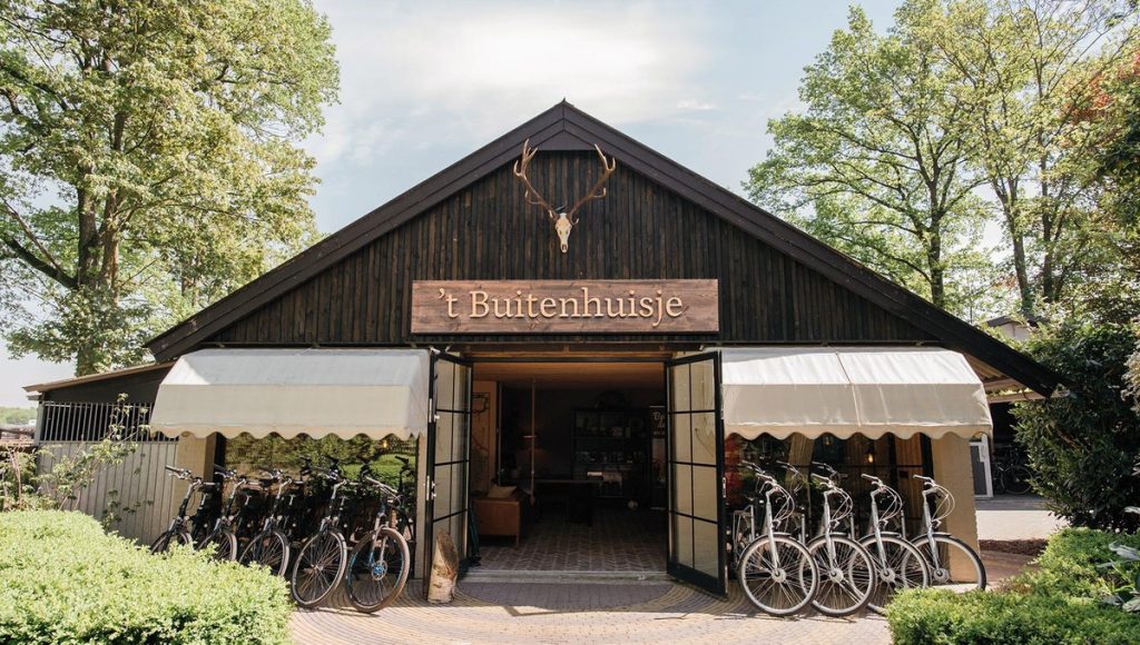 Fietsen over de Veluwe met uitzicht op bossen en heidevelden in Nederland