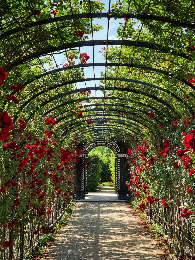 Sfeervolle tuin met loungezitje, plantenpotten en tuinverlichting voor een gezellige buitenruimte
