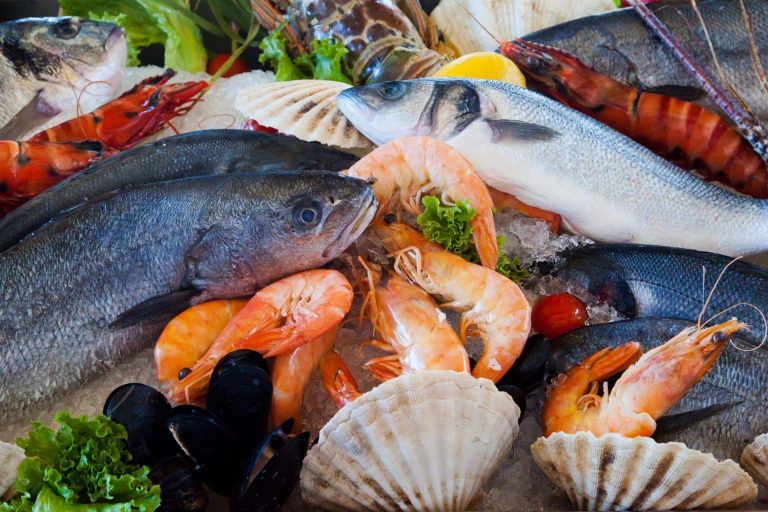 KuNa Fish viswinkel in Zeebrugge met verse Noordzeevis van de veiling